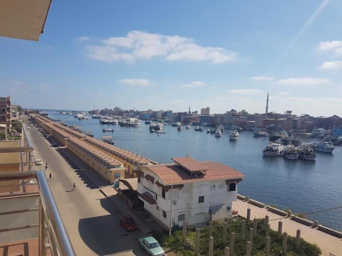 Dolphin Ras El-Bar Hotel المظهر الخارجي الصورة